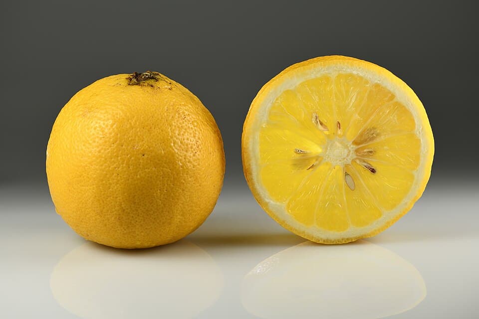 Cam bergamot — FCF