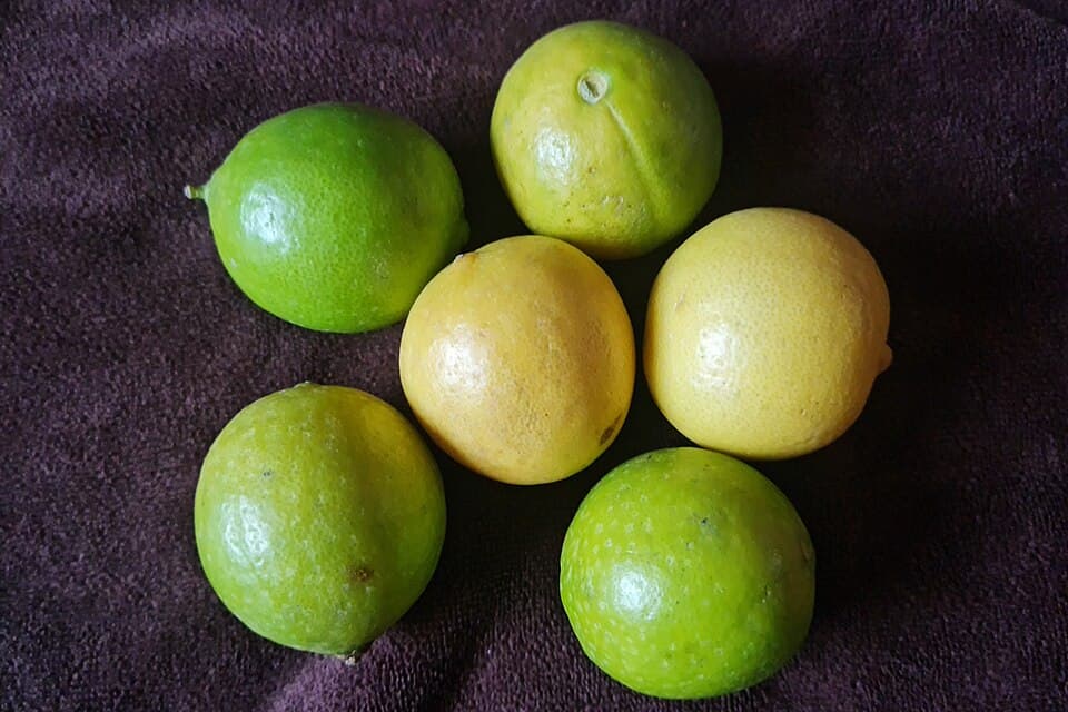Tinh dầu chanh xanh — ép lạnh / ép nguội (Chanh ta / Key lime)